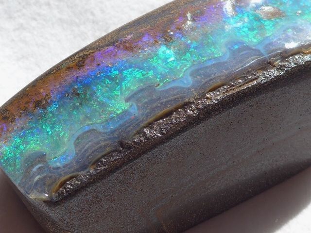 標本 IR220-1800