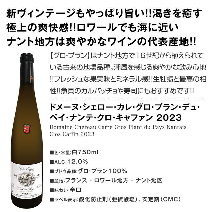 華やかな上