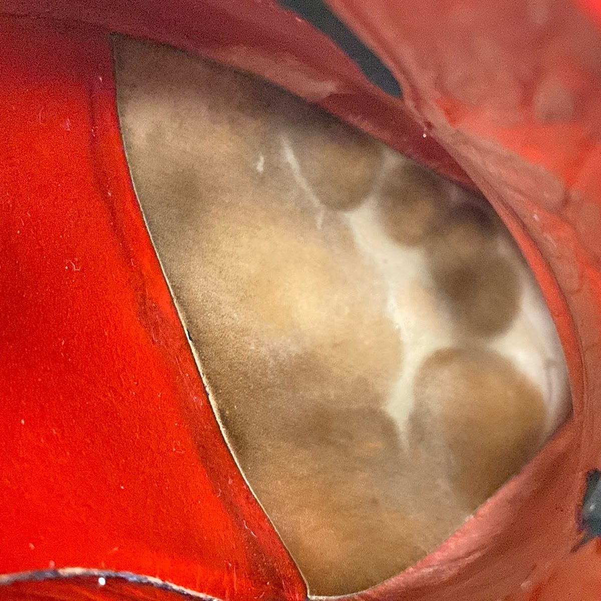 ウィングチップ|TOMORROWLANDコラボ レザー