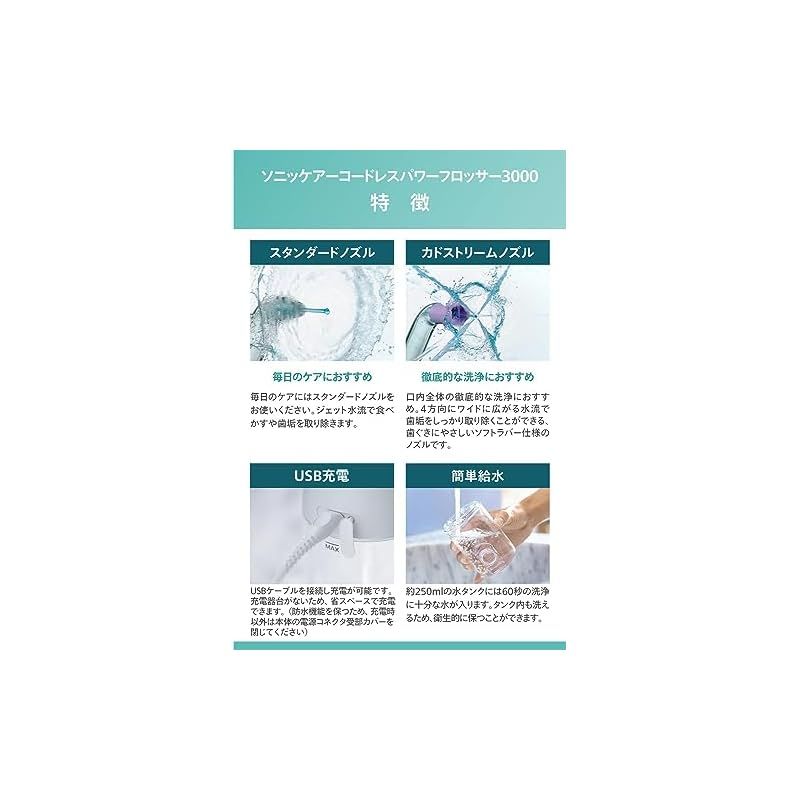 コードレスパワーフロッサー3000