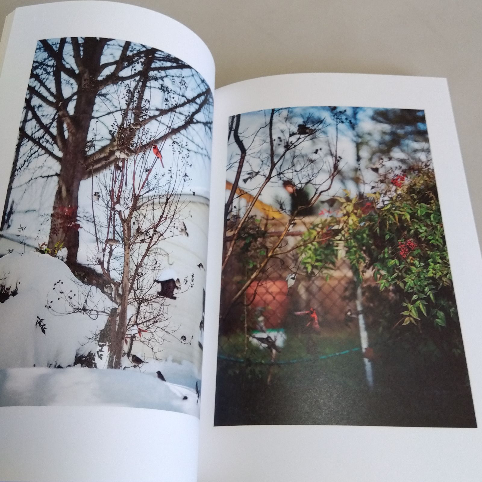 【As the Crow Flies】Terri Weifenbach新品未読品 As the Crow Flies - メルカリ