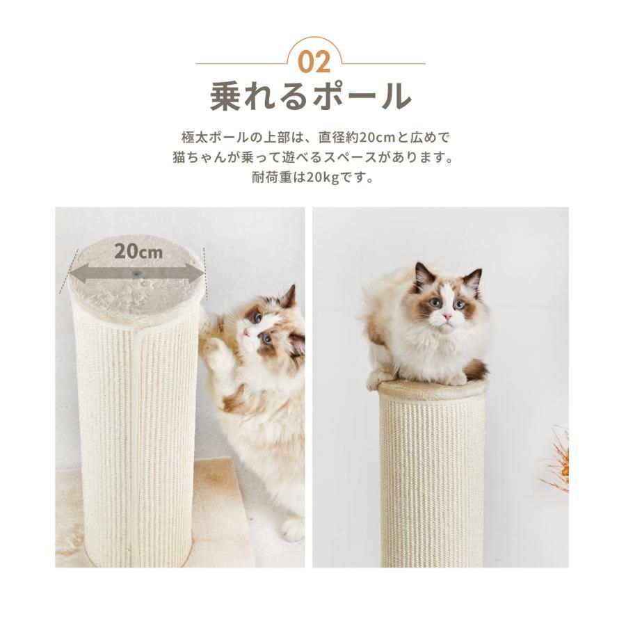 高さ60cm