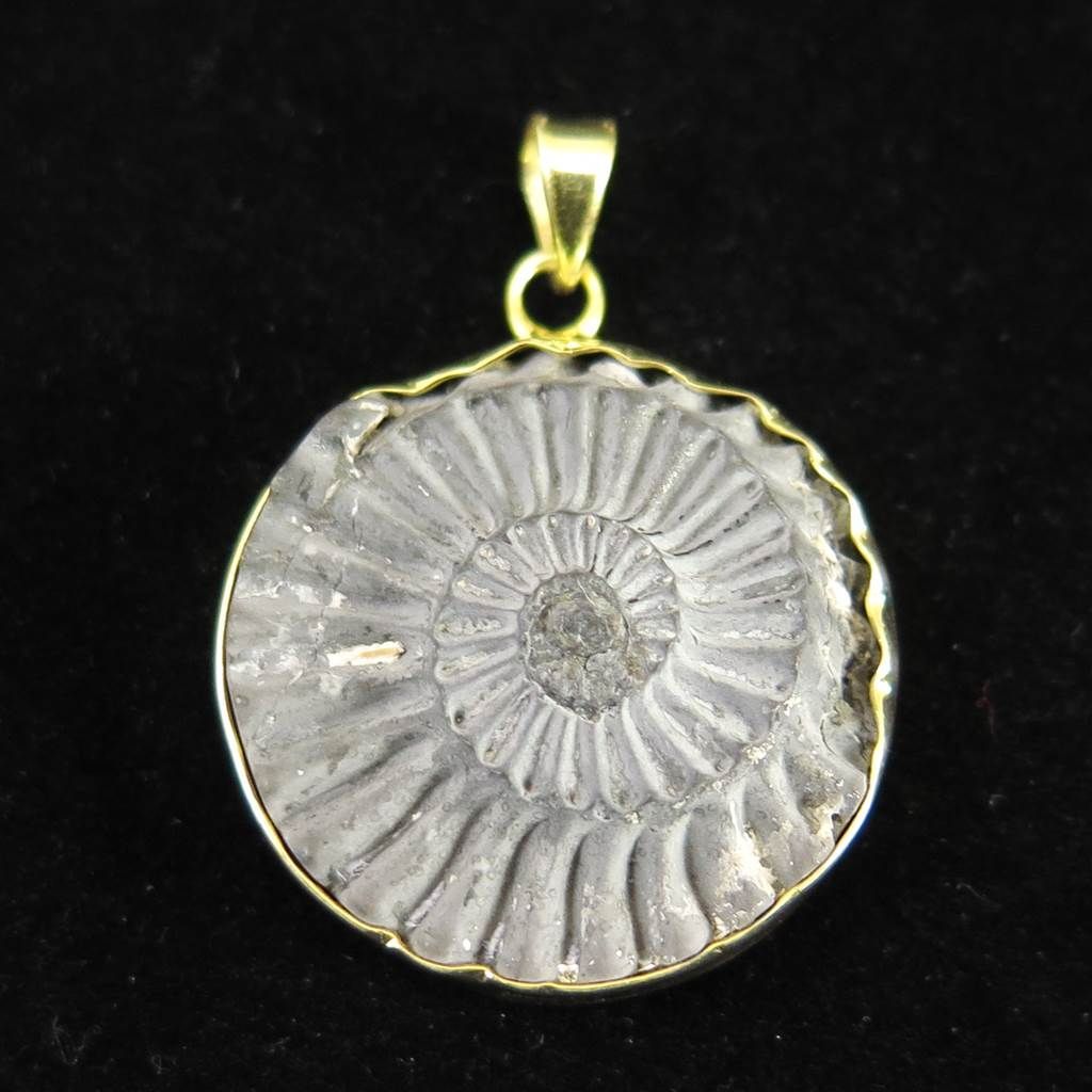 アンモナイト パイライト 化石 ペンダントトップ 18KGP 8.5g 【榎本