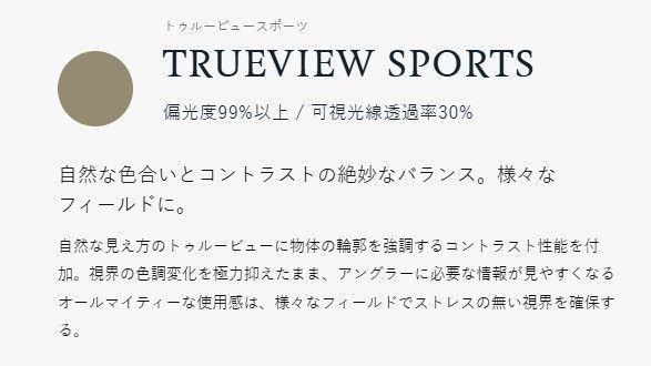 ルーフマットブラック トゥルービューブルーミラー