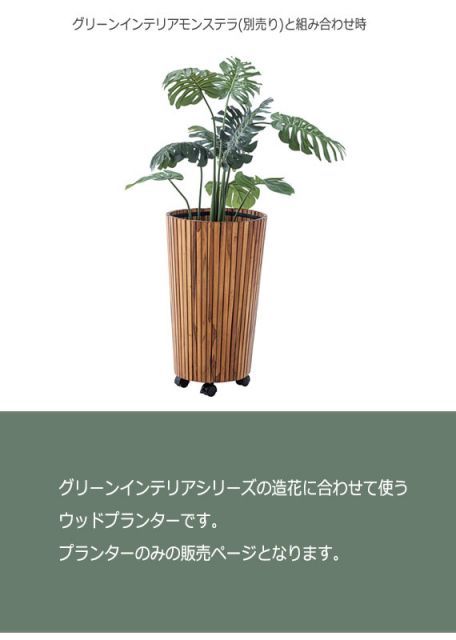 グリーンインテリア
