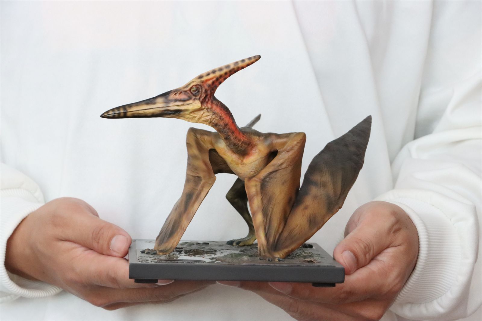 DINO DREAM 1/15 サイズ プテラノドン 翼竜 恐竜 白亜紀 歯の