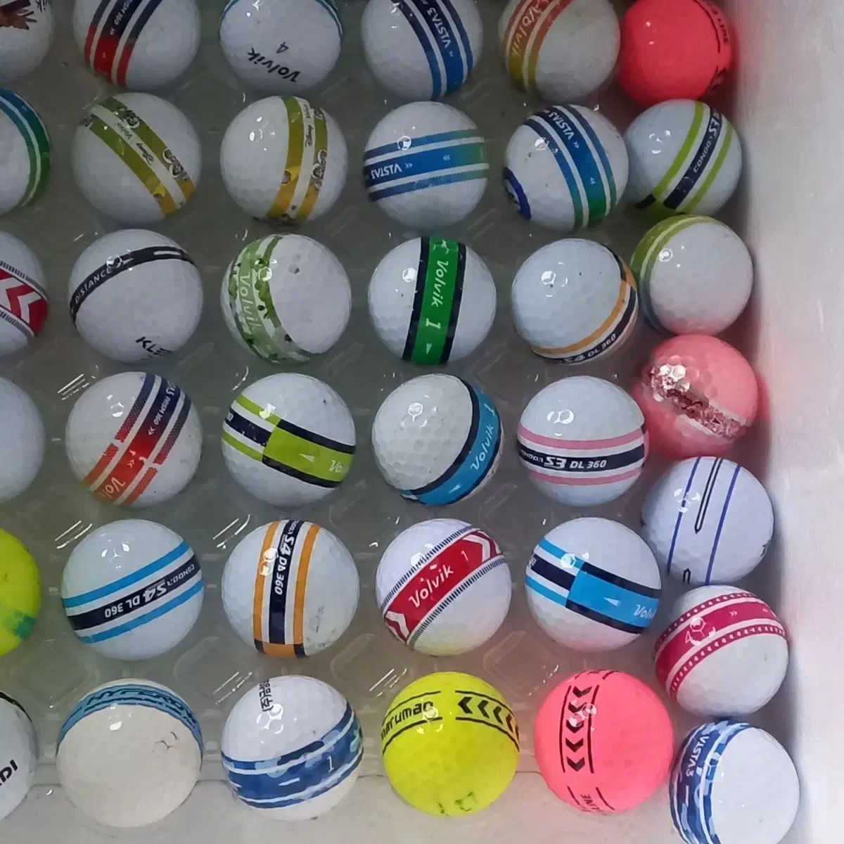 Volvik ボルビック VISTA ビスタ コンドル ラタン ゴルフボール 56 犬