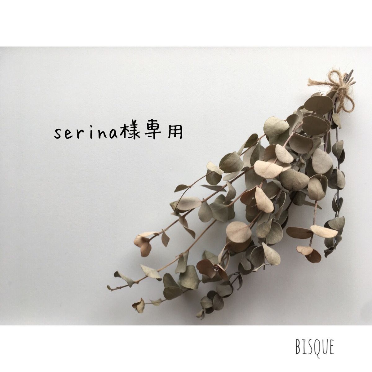 ＳＥＲＩＮＡ様専用出品 | www.curushealth.com