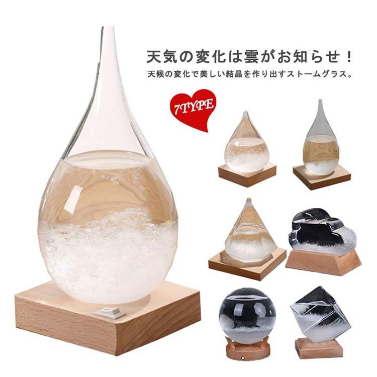 Harry Potter Poly Storm Glass サリュ 限定品 ストームグラス 鳥 天気