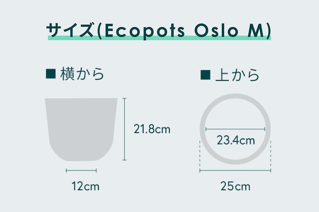 アンドプランツ