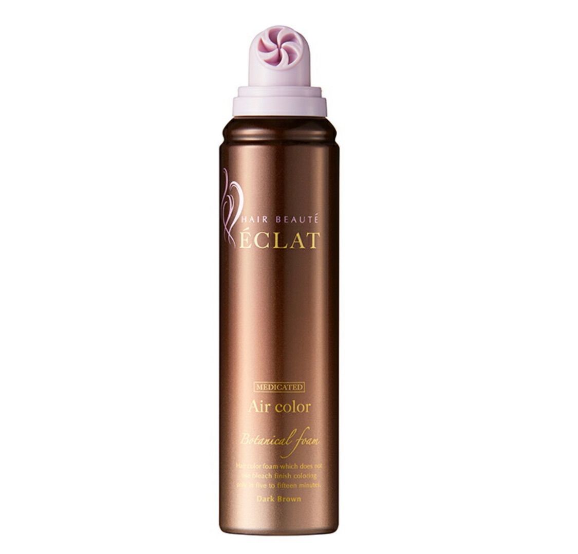 ÉCLAT ボタニカルエアカラーフォーム ダークブラウン 80g 【公式通販】