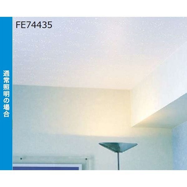光る壁紙 蓄光 のり無し壁紙 サンゲツ FE74435 93cm巾 10m巻