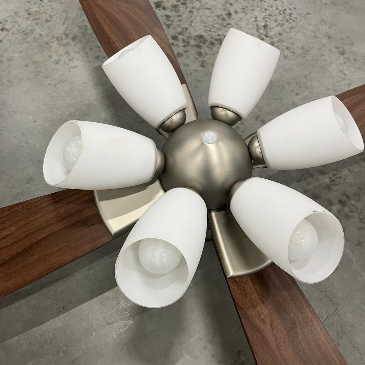 DAIKO ダイコー シーリングファン ASN-008S シルバー＆ウッド調 DAIKO ダイコー シーリングファン ASN-008S シルバー＆ウッド調