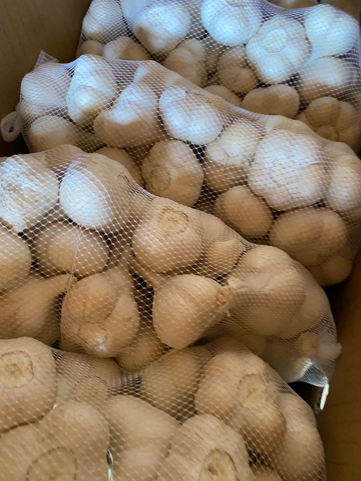 青森にんにくMサイズ 3kg 福地ホワイト六片 - メルカリ
