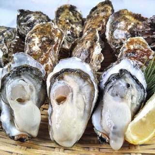 【新生牡蠣スタートです】「生食用殻付き牡蠣　1ｋｇ」【九州、沖縄は別出品を】約１０個前後【60】貝 貝類 松島牡蠣屋 生牡蠣  カキ 牡蛎 kaki かき