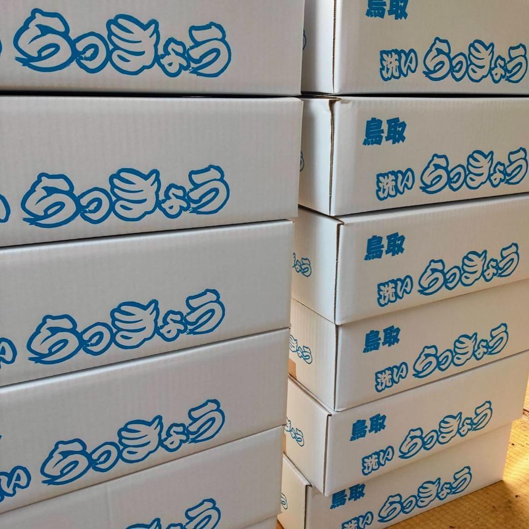 10kg 混合