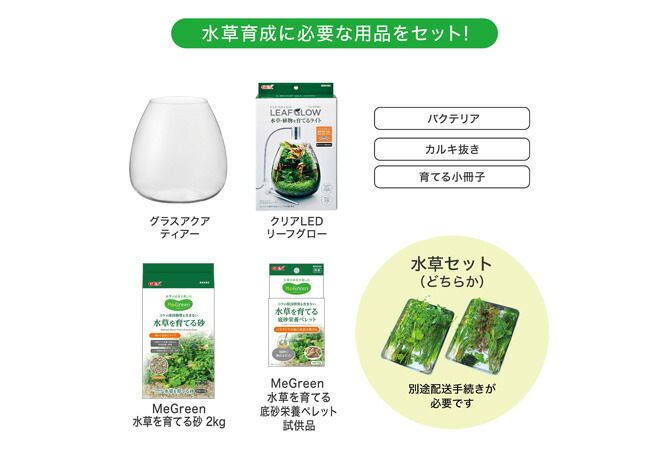 Megreen 新鮮な水草付き