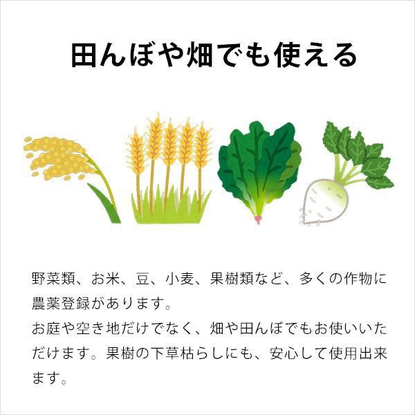 サンフーロン
