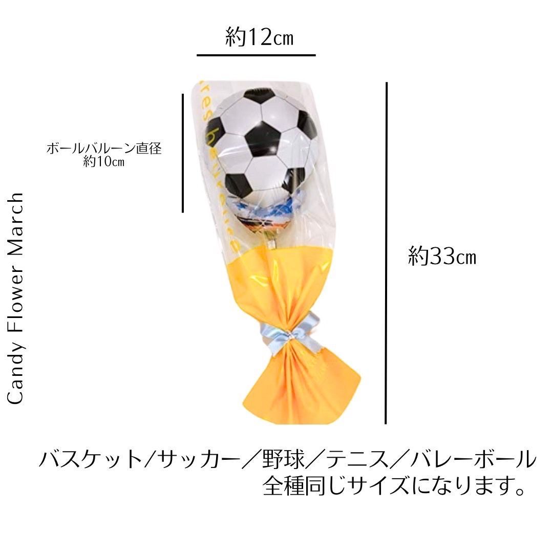 バスケットボール・サッカー・野球・バレーボール・テニス