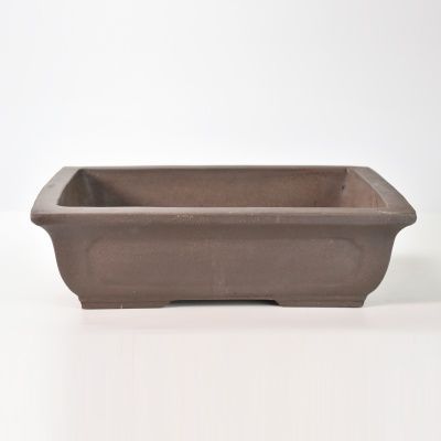 ❤️多肉植物❤️抜そのまま飾れる寄せ植え❤️ハートうさぎちゃん❤️ ❤️多肉植物❤️抜そのまま飾れる寄せ植え❤️ハートうさぎちゃん