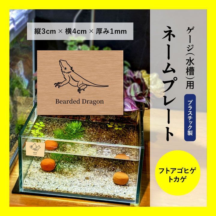 PP ネームプレート 名札 レプタイルボックス クライミングペット