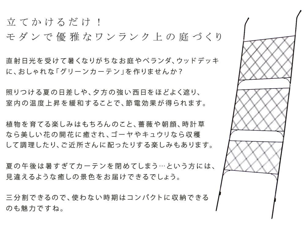 ASM1013515 アイアン製グリーンカーテン アーガイル 2枚組 送料無料