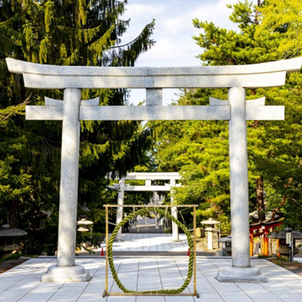 蛇の抜け殻【額装品】開運 寿文字 青スウェードで高級感抜群 お祝い品