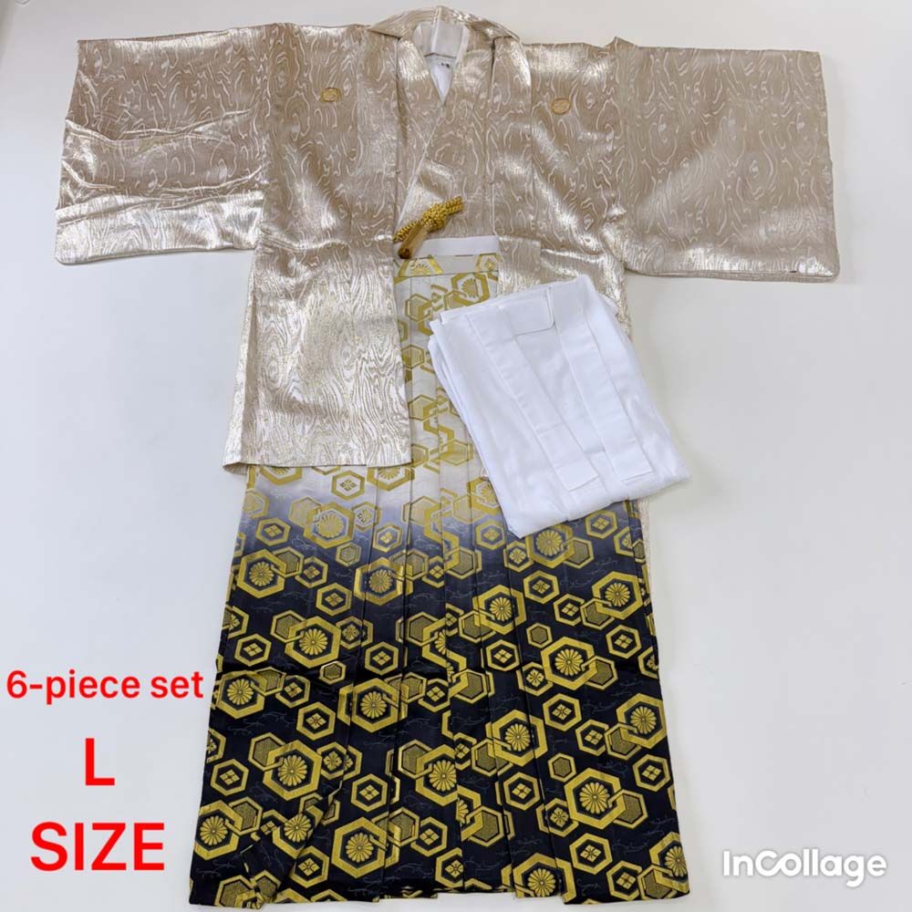 紋付袴 6点セット 着物 羽織 袴 長襦袢 羽織紐 角帯 裄71cm 袴丈89cm L シルバー 五つ紋 4502