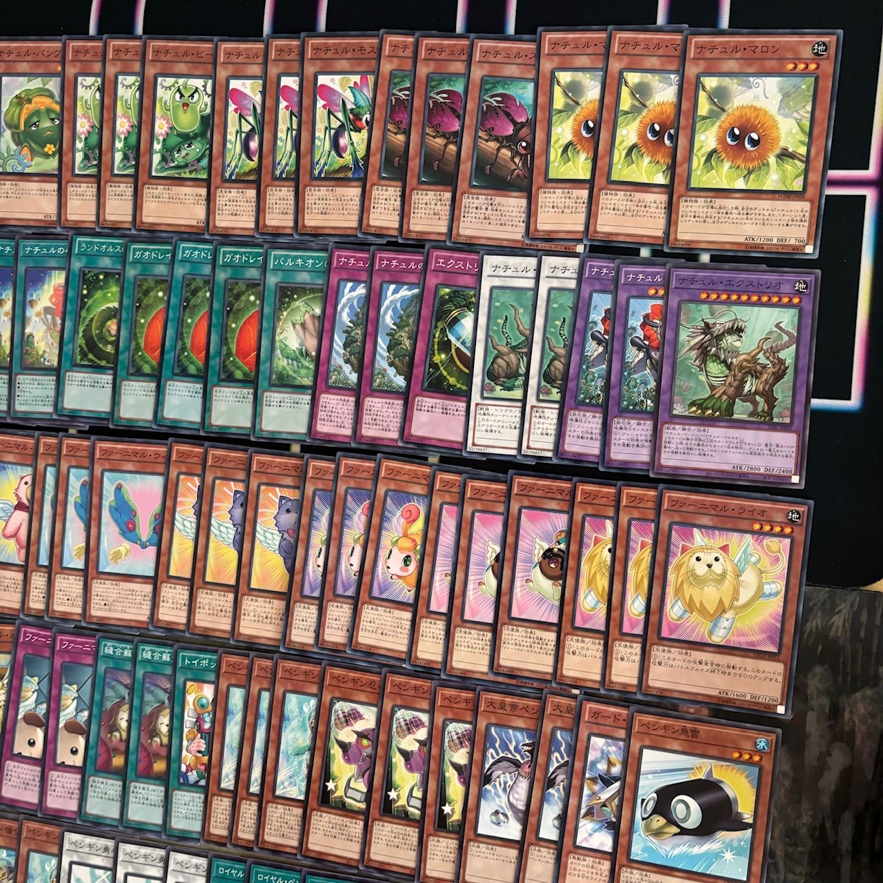 d51遊戯王 ファーニマル 構築済みデッキ 調整パーツ付 エッジインプ d51遊戯王 ファーニマル 構築済みデッキ 調整パーツ付