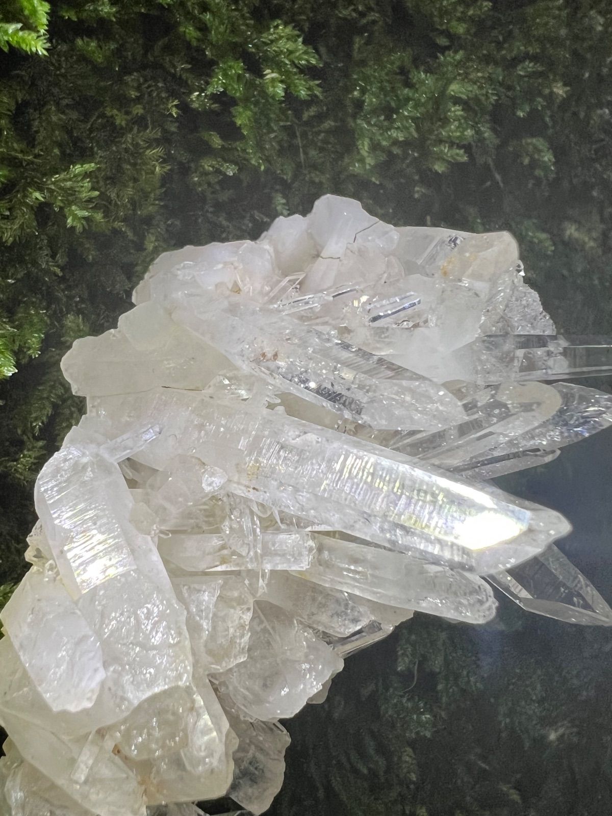 龍脈の精髄 ― 宮崎産 水晶クラスター 聖域を生む調和の結晶 保護猫活動支援 IMPECCABLEHEALTHCARESERVICES_COM