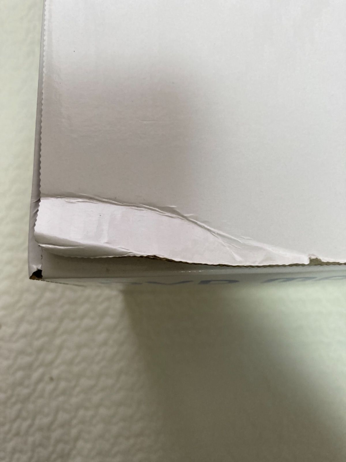 DWE ディズニー英語システム DVDメイト