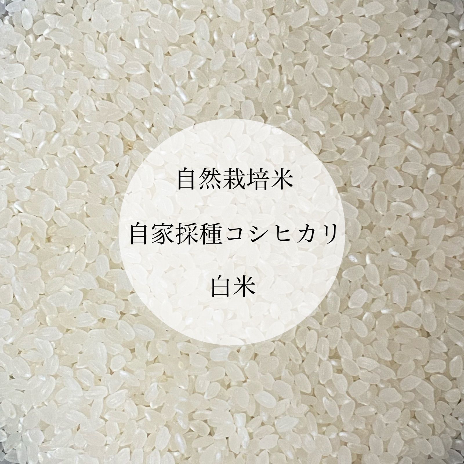 最新品好評】 令和3年新米 自然栽培米 玄米10kg 農薬肥料不使用