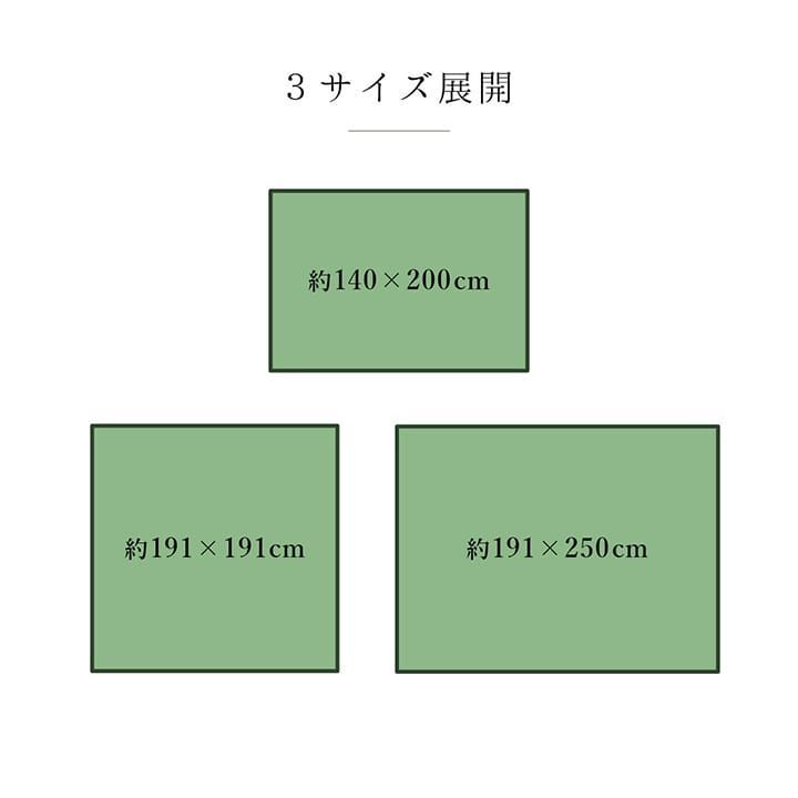 い草ラグ カーペット