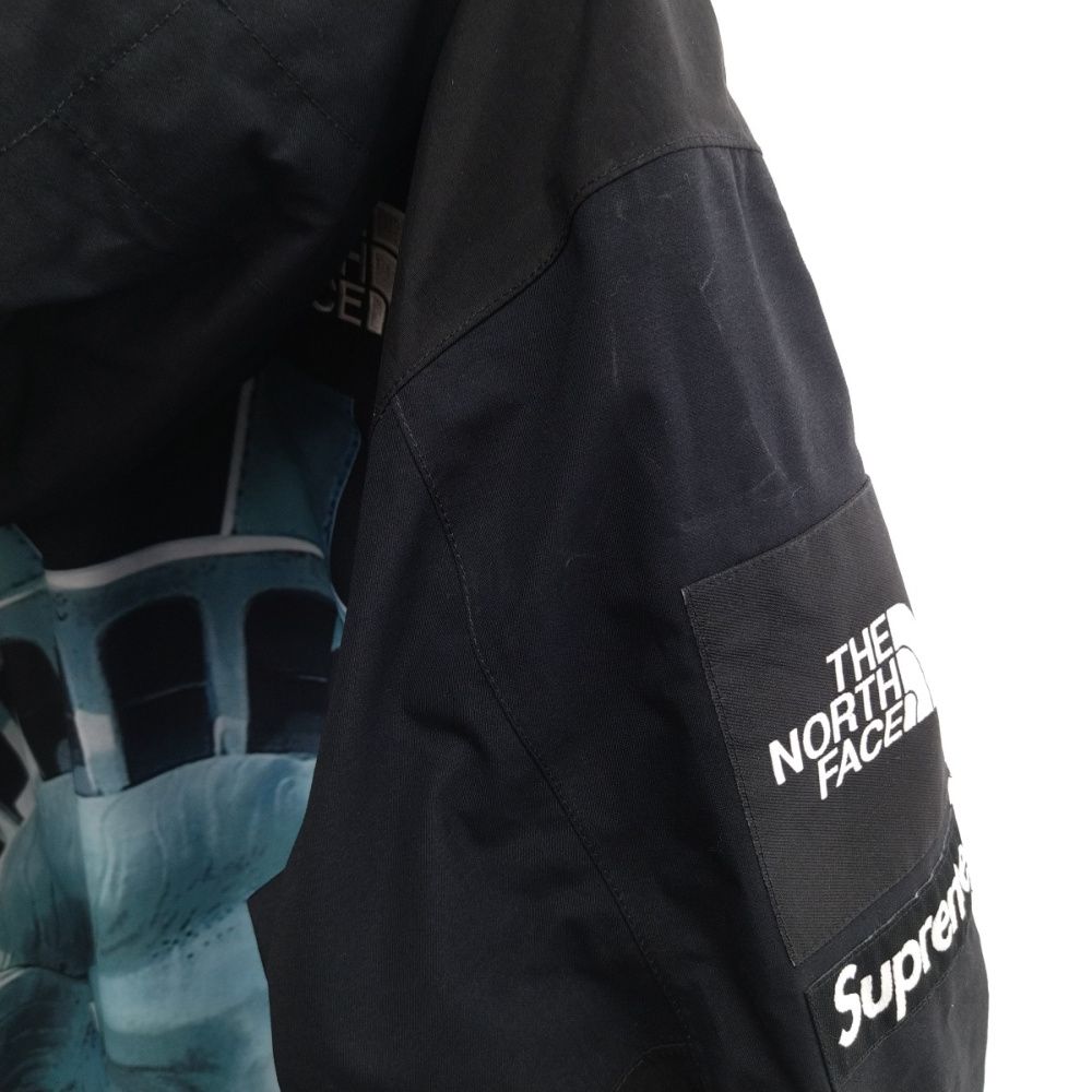 SUPREME (シュプリーム) 19AW ×THE NORTH FACE Statue Of Liberty