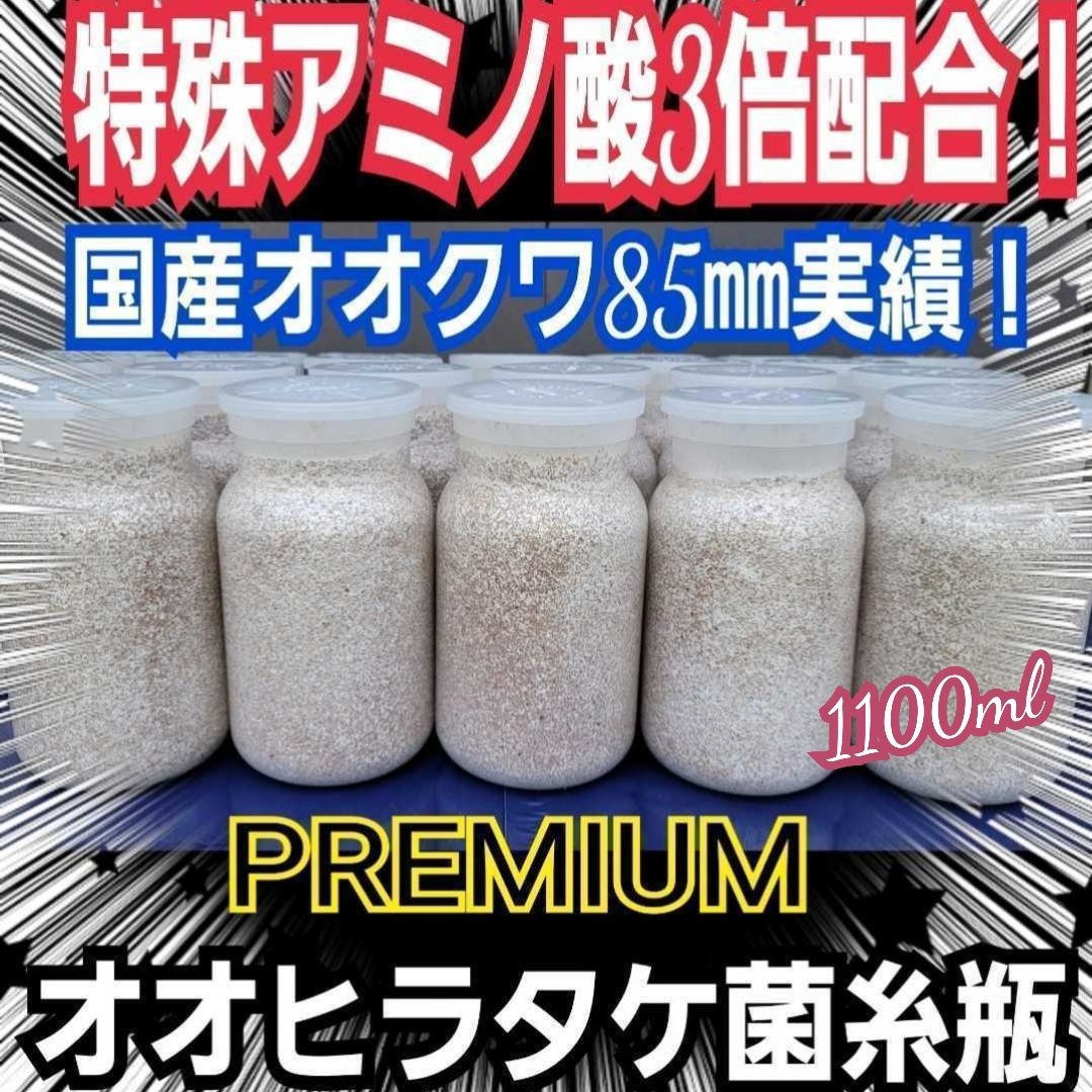 上 オオヒラタケ 菌糸瓶 8本セット 1100ml オオクワガタ ヒラタクワガタ ニジイロクワガタ ノコギリクワガタに トレハロース ローヤルゼリー キトサン 特殊アミノ酸強化配合で幼虫が大きくなる
