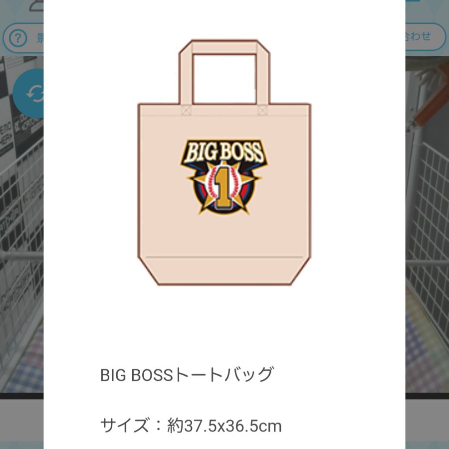 新品 bigboss 新庄剛志 トートバッグ - スポーツ選手