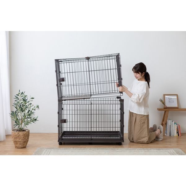 ウォールナット 増やせる