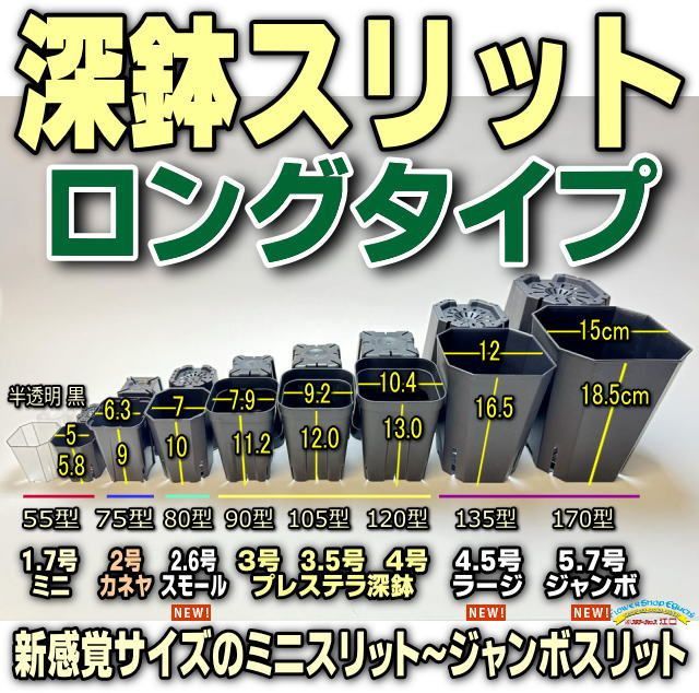 プレステラ75(硬質スリットポット2.5号)黒・白20鉢＋四角型ハーフ浅型トレイセット×2セット＠フラワーショップ江口 - メルカリ