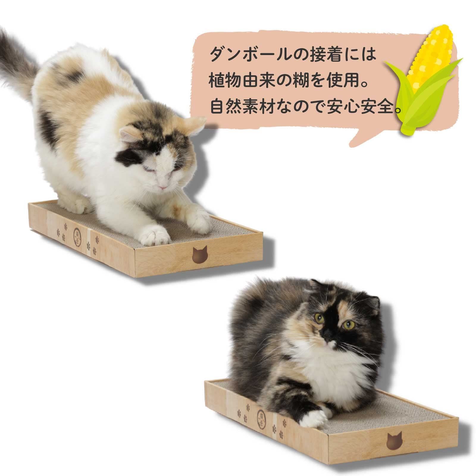 お急ぎ下さい ライトブラウン