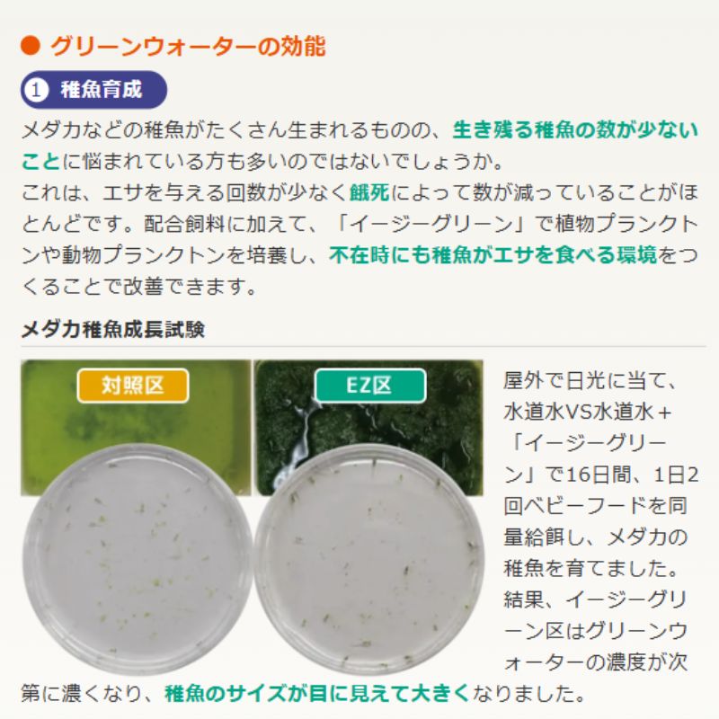 ひかりウェーブ イージーグリーン