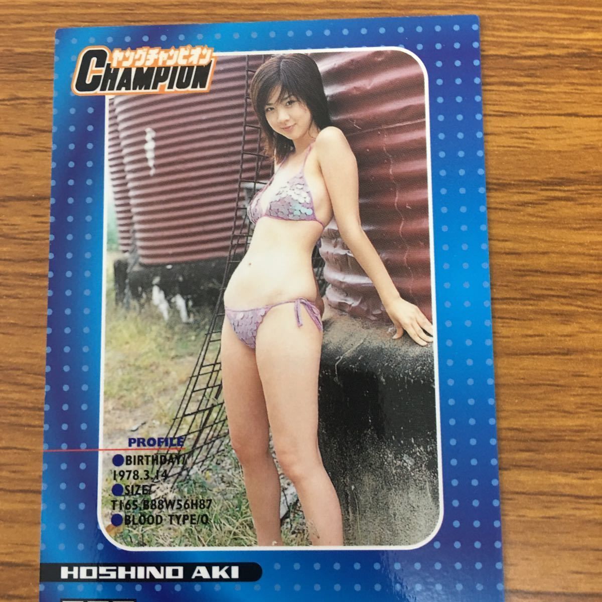 矢 85 ヤングチャンピオン カード まとめ グラビア アイドル 