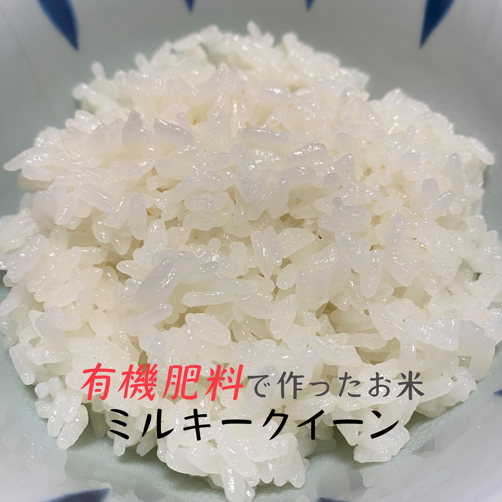 新米 滋賀県産 ミルキークイーン 令和7年産 精米 5kg 有機肥料で 新米 滋賀県産 ミルキークイーン 令和7年産 精米 5kg 有機肥料で