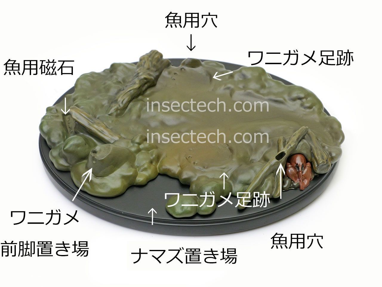 動物の惑星ジオラマシリーズ】第二弾 初回限定ナマズ付属