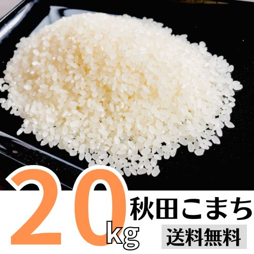 美味しい 秋田こまち20kg