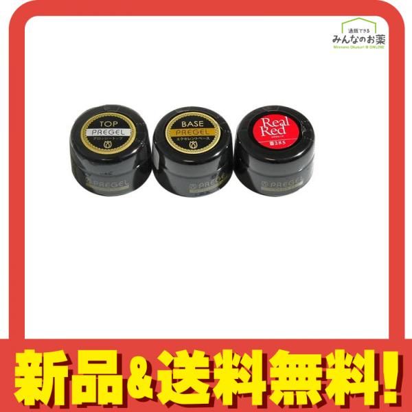 PREGEL(プリジェル) JNA検定対策リアルレッドセット 1組 