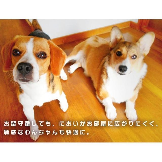 100枚