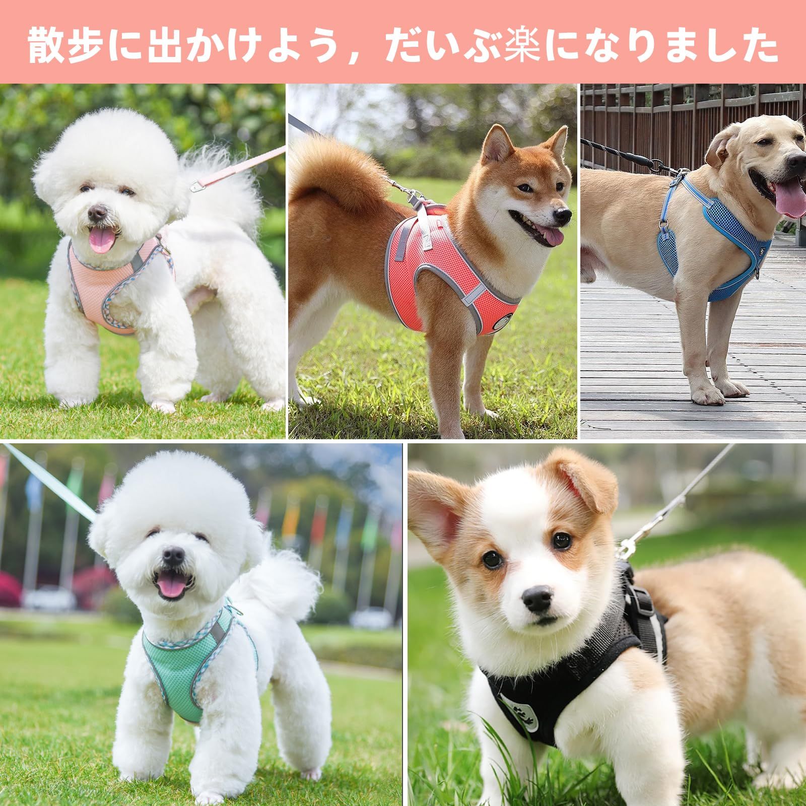 在庫