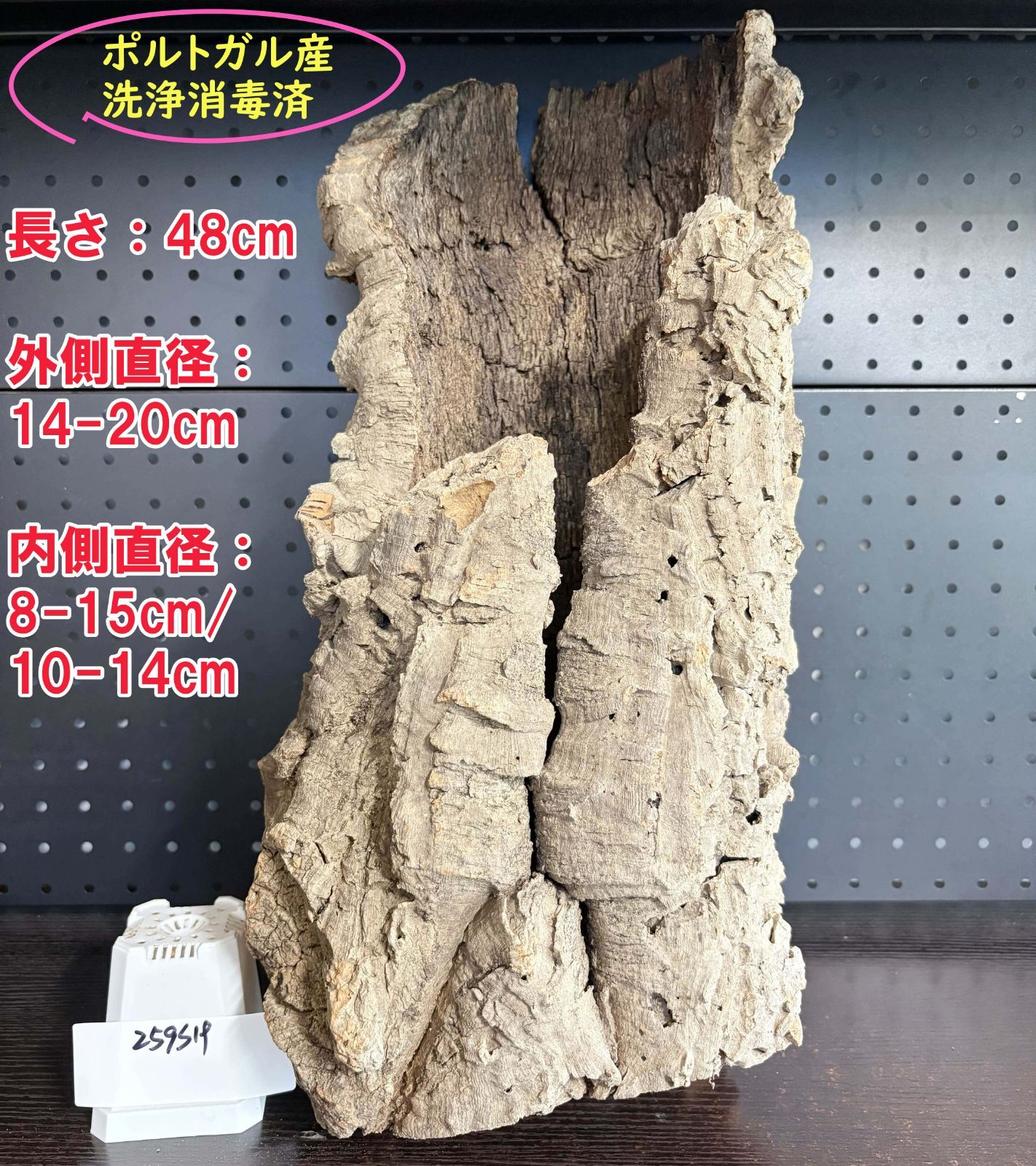 259S19 ポルトガル産 キャノンコルク コルク樹皮 コルク板 バージンコルク 送料無料 チランジア ビカクシダ 着生ラン 両生類 爬虫類