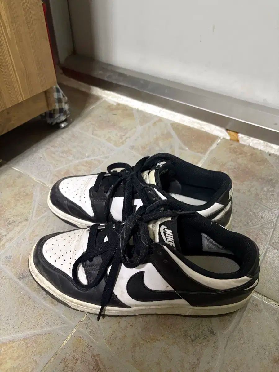NIKE(ナイキ) ブンゴラ （ 245 ）