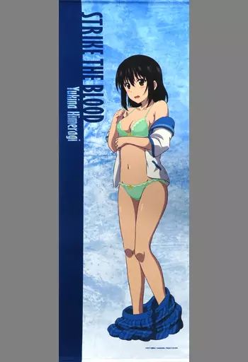 タペストリー 姫柊雪菜(お着替えver.) 特大タペストリー 「ストライク 